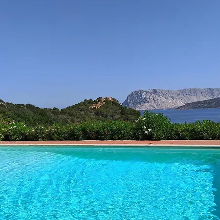 Punta Est - Trilo Ginepro Terrazza & Pool