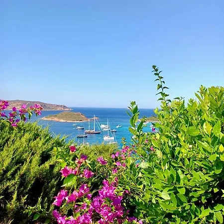 San Teodoro Punta Est Magnifico Trilocale Vista Mare Capo Coda Cavallo