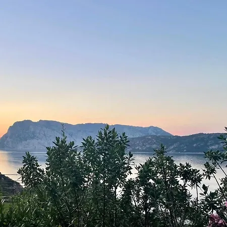 San Teodoro Punta Est Magnifico Trilocale Vista Mare Apartment