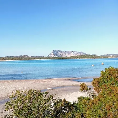San Teodoro Punta Est Magnifico Trilocale Vista Mare *