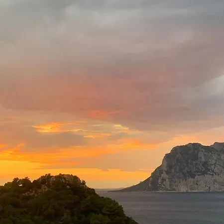 Apartment San Teodoro Punta Est Magnifico Trilocale Vista Mare